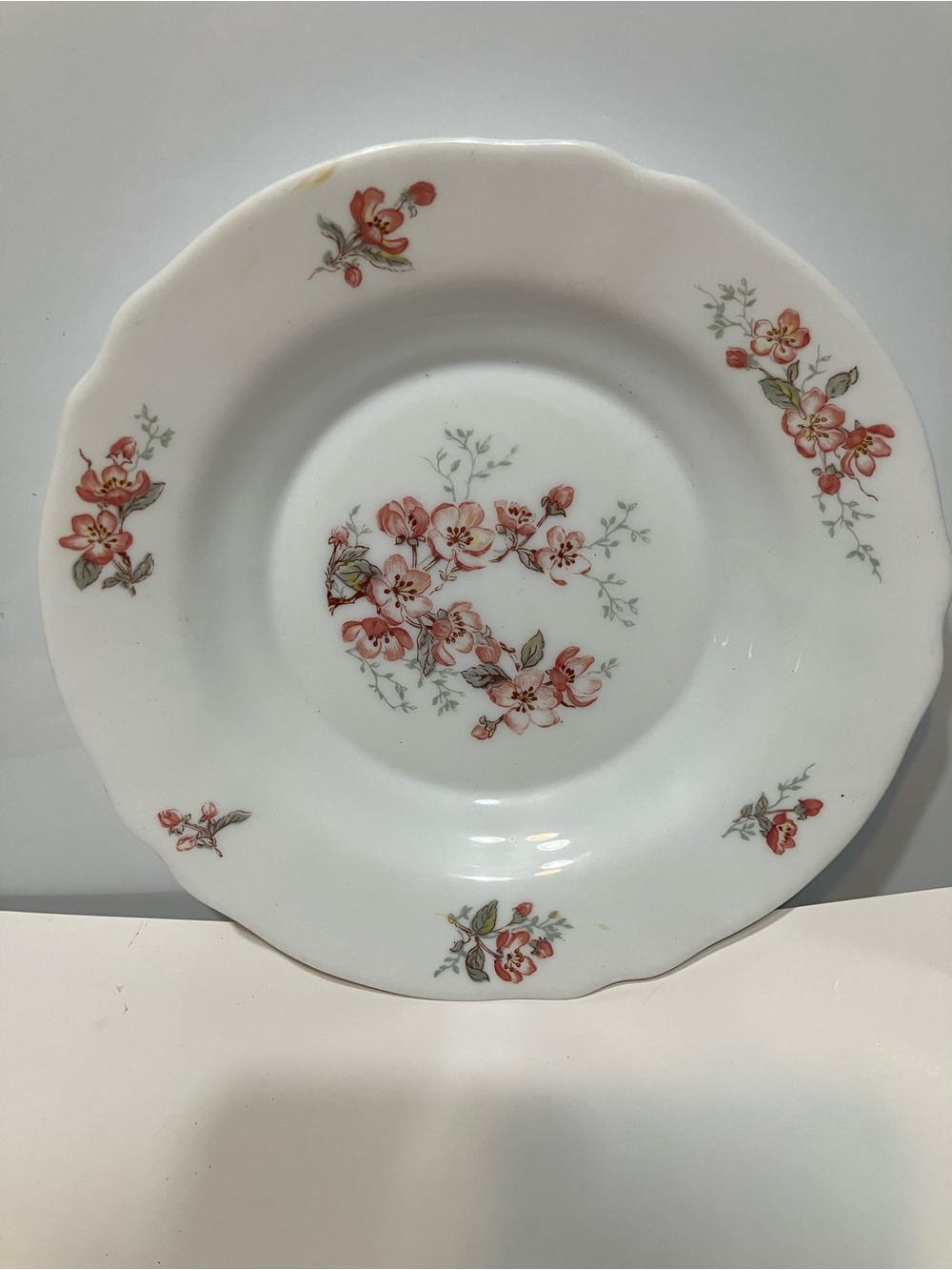 ARCOPAL France (ARC) Large Rim SOUP BOWL PLATE 9" "Florentine" Scalloped Edge